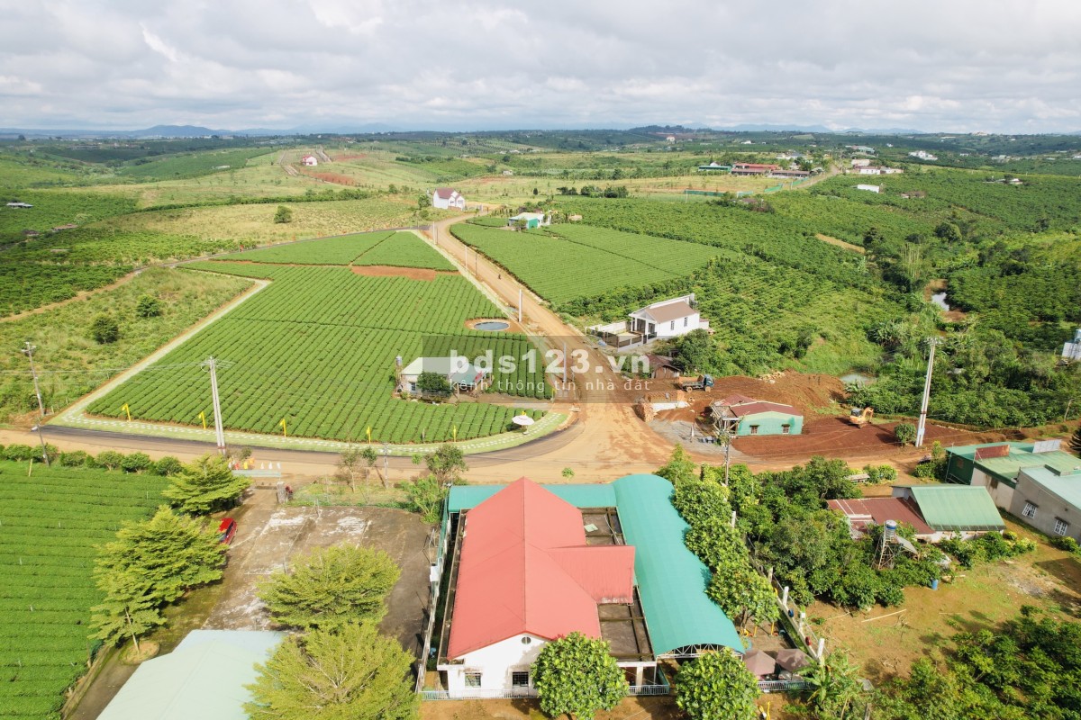 Chính chủ cần bán vài lô đất sổ sẵ thổ cư 3 mặt tiền đường nhà nước gần nút giao Cao Tốc