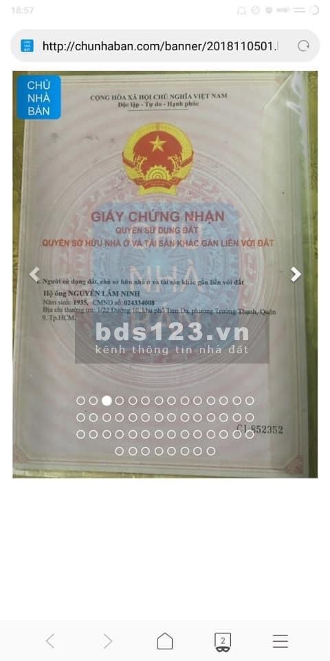 Chính chủ cho thuê đất trồng cây lâu lâu, giá tốt, diện tích lớn