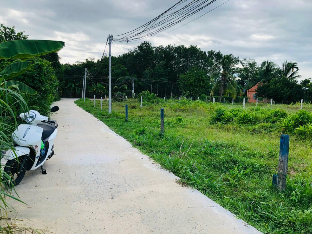 Mua đất là phất Cây Da Hiệp Thạnh Gò Dầu giá chốt nhanh