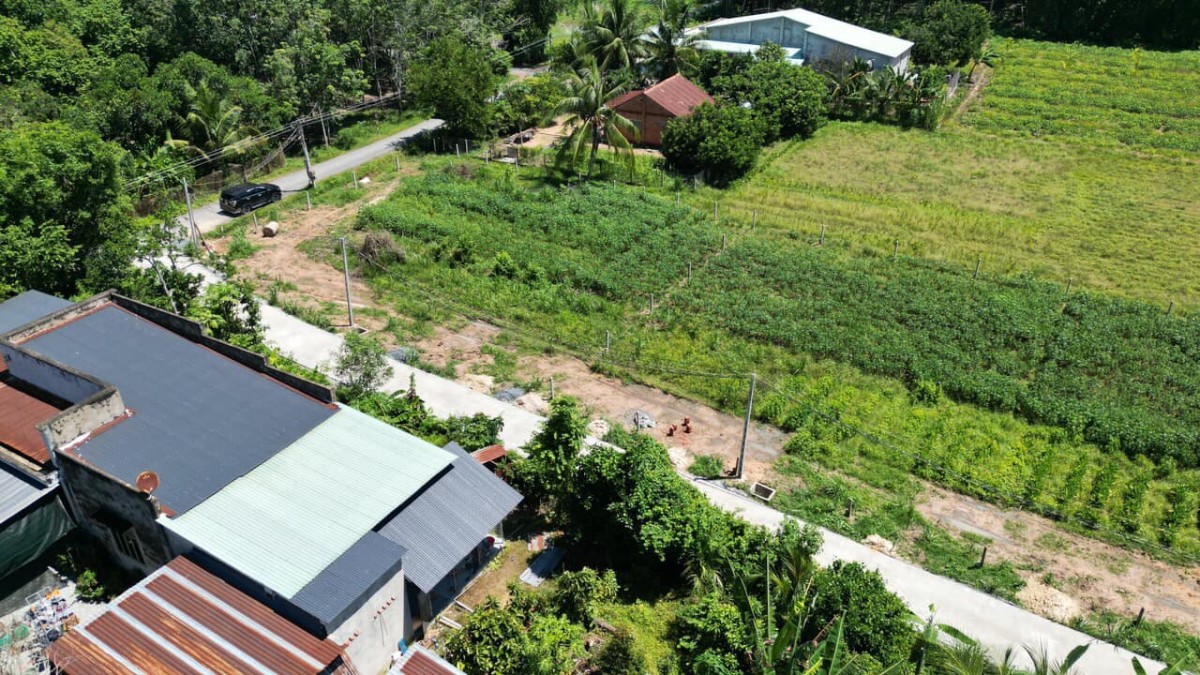 Mua đất là phất Cây Da Hiệp Thạnh Gò Dầu giá chốt nhanh