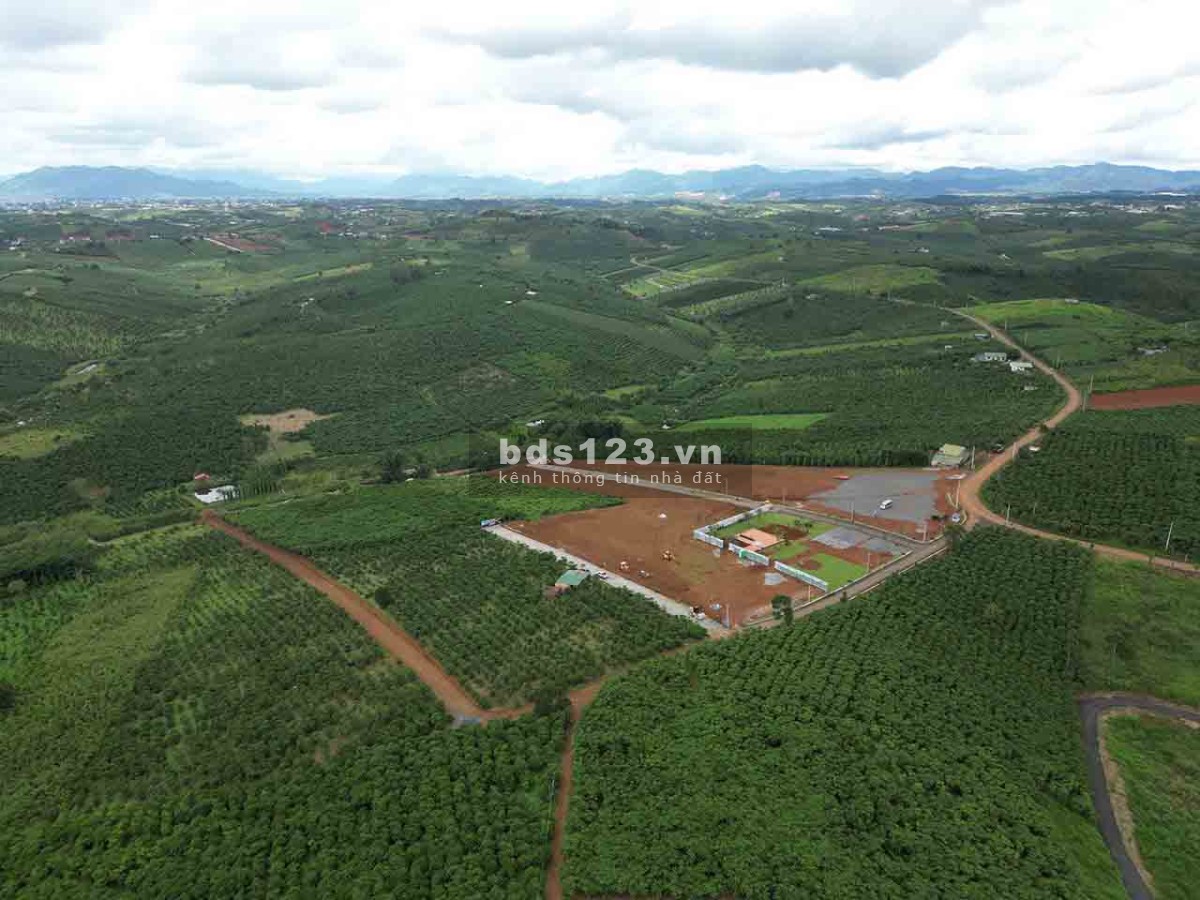 Đất nền Bảo Lộc view đồi chè Ô Long - đã có sổ hồng full thổ cư thổ cư