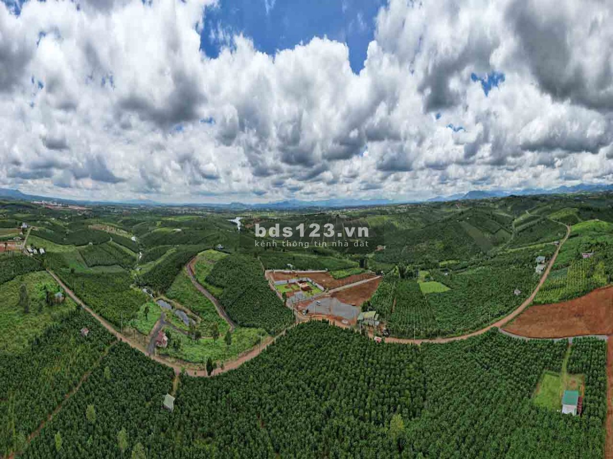 Đất nền Bảo Lộc view đồi chè Ô Long - đã có sổ hồng full thổ cư thổ cư