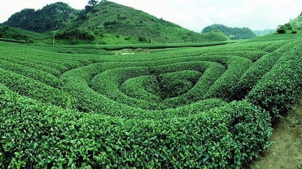 Mộc Châu đón sóng cao tốc Hòa Bình Sơn La giá đầu tư sinh lời