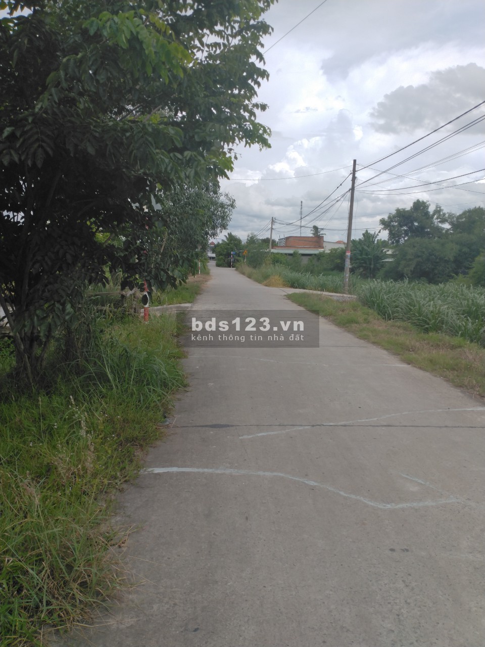 Chính chủ bán nhanh lô đất thổ cư 175m2, Thị Trấn Củ Chi, SHR