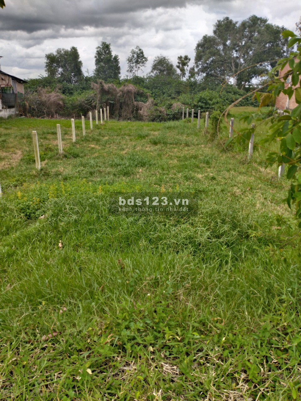 Chính chủ bán nhanh lô đất thổ cư 175m2, Thị Trấn Củ Chi, SHR