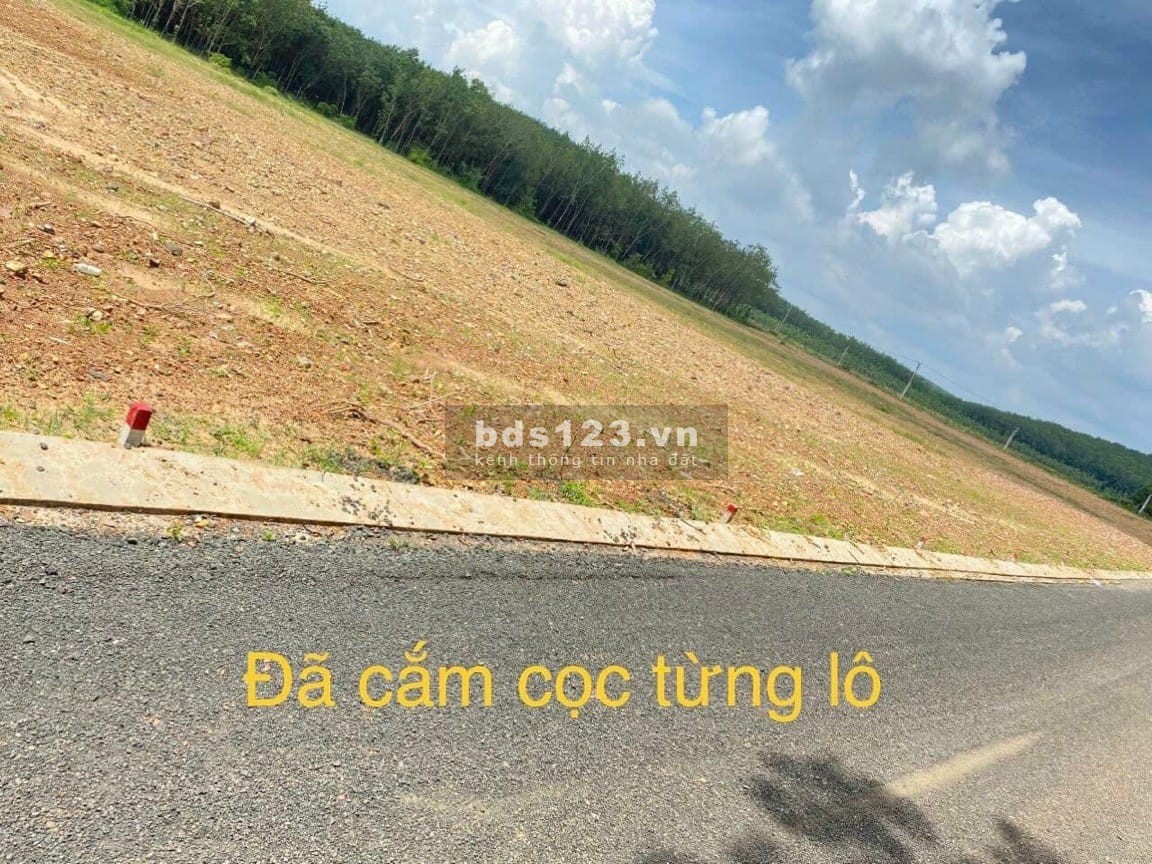Cần bán gấp đất thổ cư đường QH 29m dân cư hiện hữu ngay KCN Quy mô 500ha thông DT741 và QL14