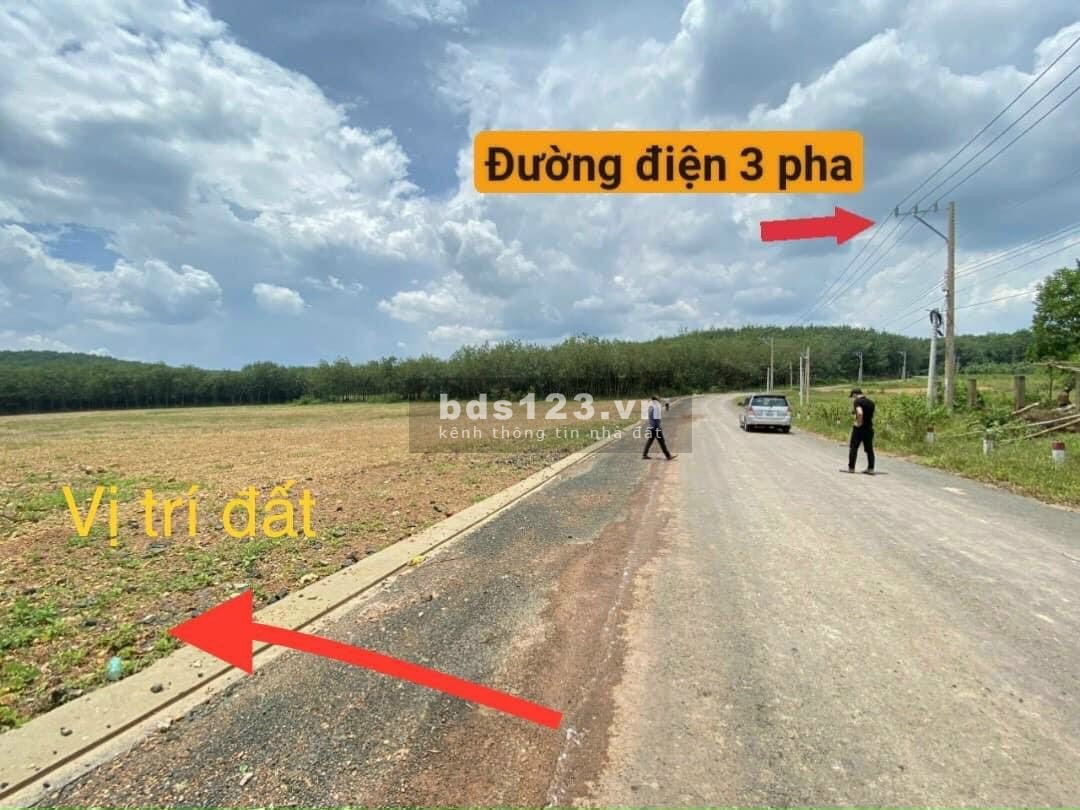 Cần bán gấp đất thổ cư đường QH 29m dân cư hiện hữu ngay KCN Quy mô 500ha thông DT741 và QL14