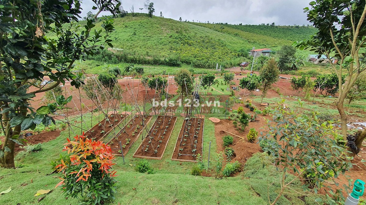Khu biệt thự nghĩ dưỡng Green Villa Bảo Lộc, giá tốt đầu tư