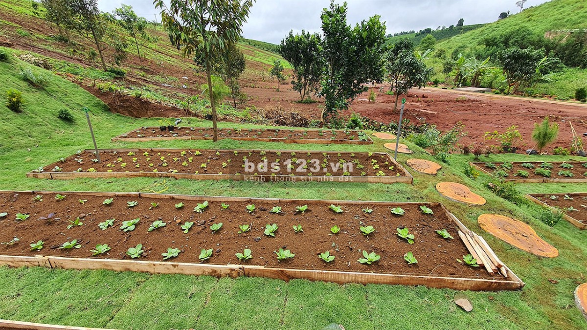 Khu biệt thự nghĩ dưỡng Green Villa Bảo Lộc, giá tốt đầu tư