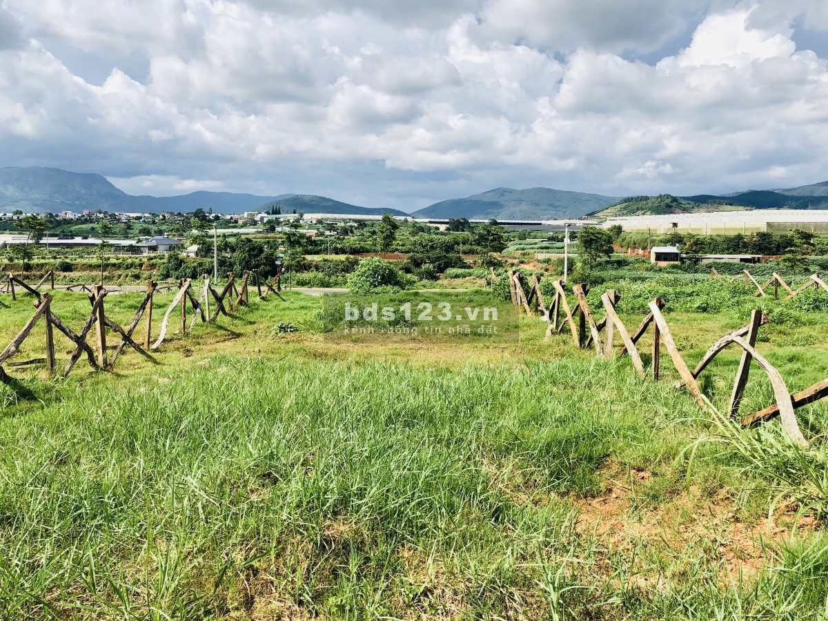 Đất nền nghỉ dưỡng vùng ven Đà Lạt, đầu tư sinh lời sổ hồng từng nền