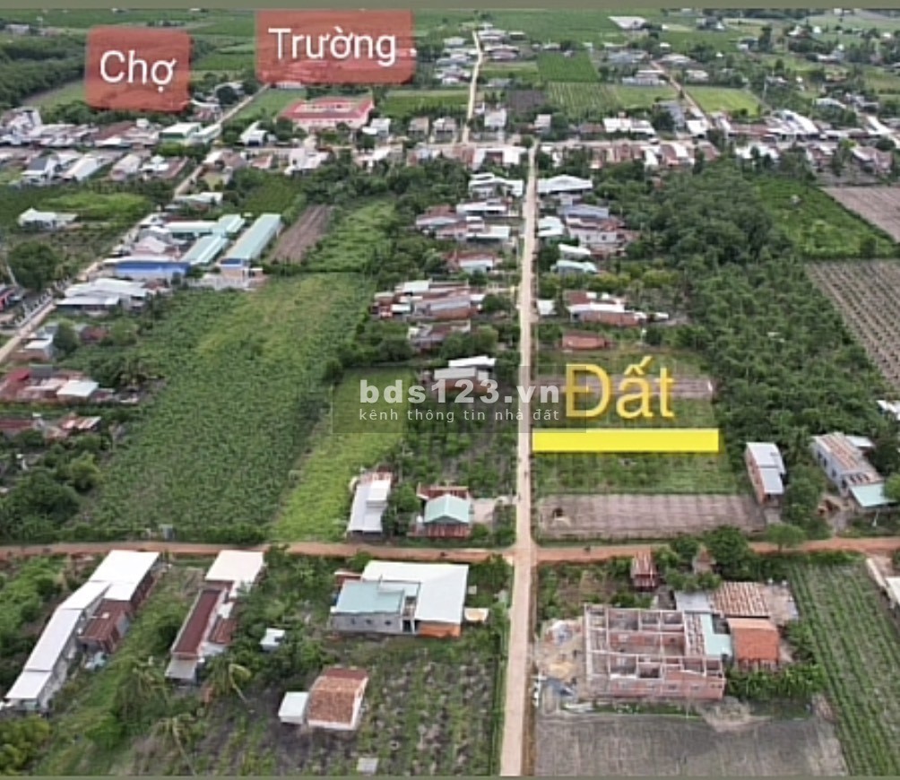 Bán Đất Châu Thành , Ninh Tây Giá Rẻ đầu tư sinh lời cao