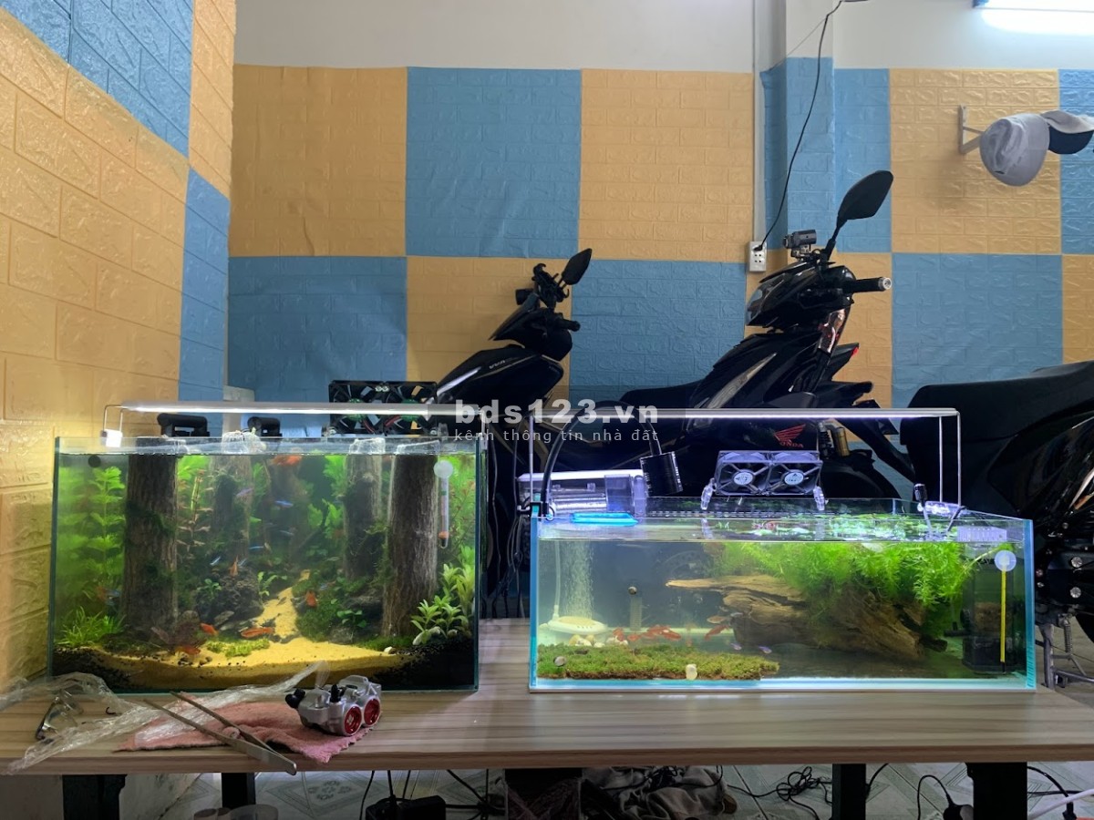 Tìm bạn ở ghép nm nữ đều được phòng rộng 30m2 Nguyễn Oanh- Gò Vấp