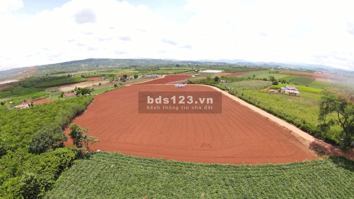 Bán lô đất siêu Vip giá đầu tư tại Tân Hội - Đức Trọng giá thoả thuận