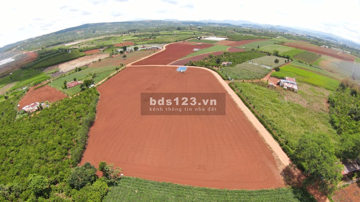 Bán lô đất siêu Vip giá đầu tư tại Tân Hội - Đức Trọng giá thoả thuận