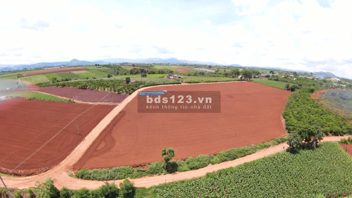 Bán lô đất siêu Vip giá đầu tư tại Tân Hội - Đức Trọng giá thoả thuận