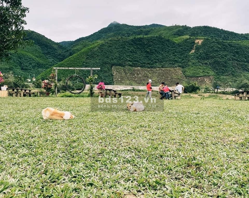 Bán Nhanh lô đất Hòa Bắc View Sông Cude Diẹn tích hơn 3hecta5…