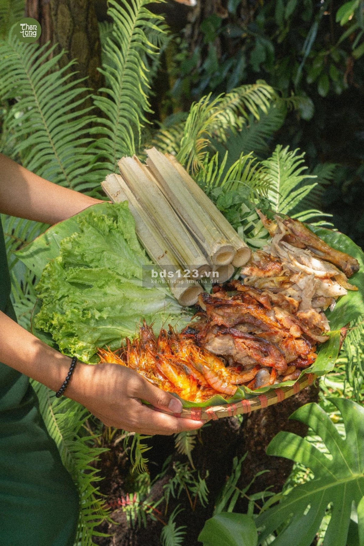 Bán Nhanh lô đất Hòa Bắc View Sông Cude Diẹn tích hơn 3hecta5…