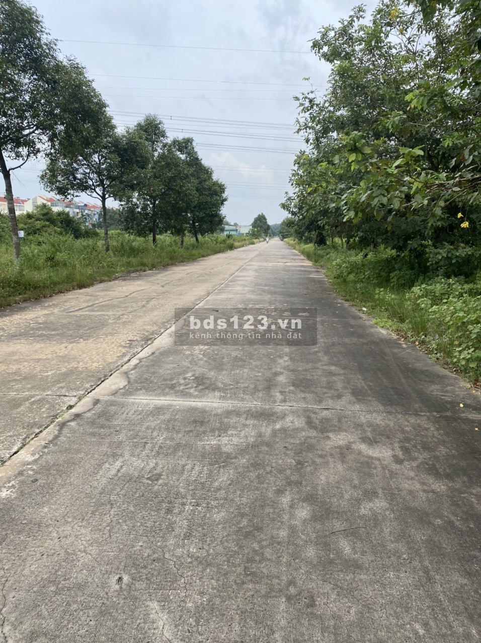 GĐ chuyển về quê nên tôi cần bán nhanh lô đất 300m và căn trọ kinh doanh buôn bán
