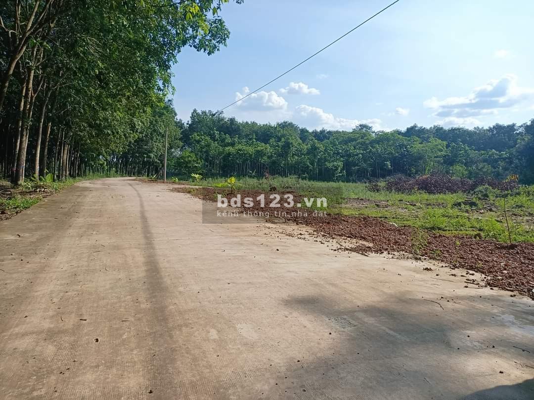 Trả trước 390tr sở hữu ngay đất mặt tiền đường số 16, cách đường Đại Nam Minh Lập chỉ 200m