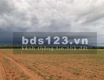 Chủ cần bán gấp lô đất gần sân bay Phan Thiết sổ sẵn bàn giao ngay