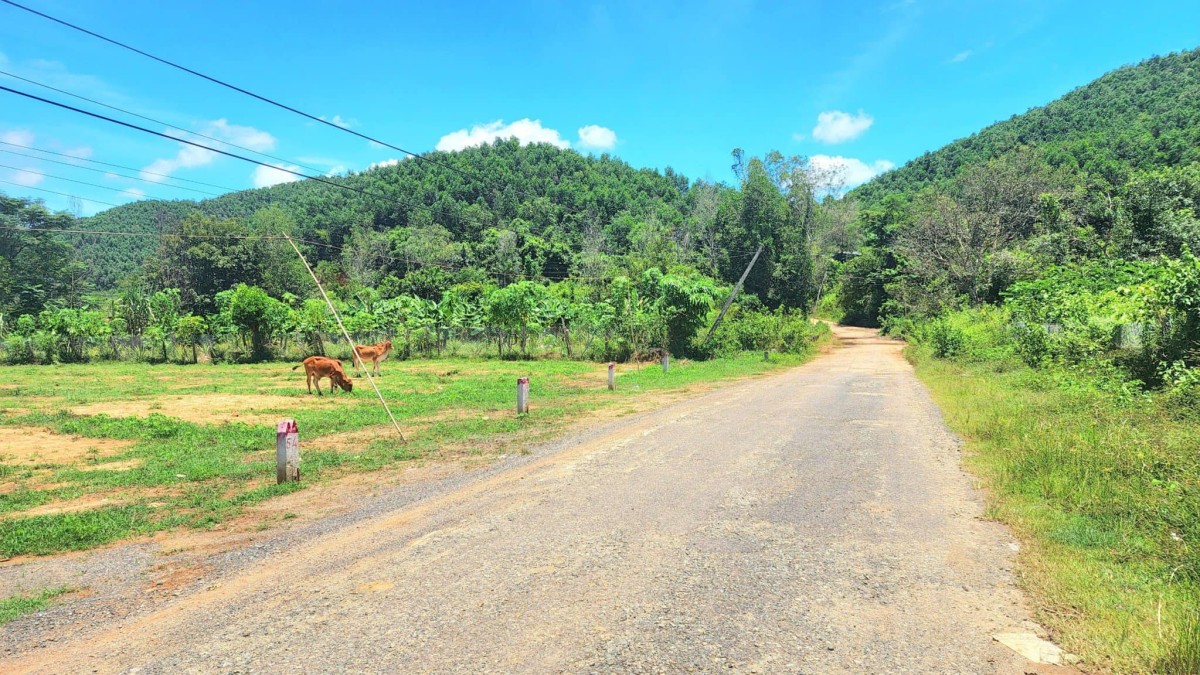 Bán lô đất view suối cực đẹp ở khánh thành khánh vĩnh khánh hòa DT 315m2