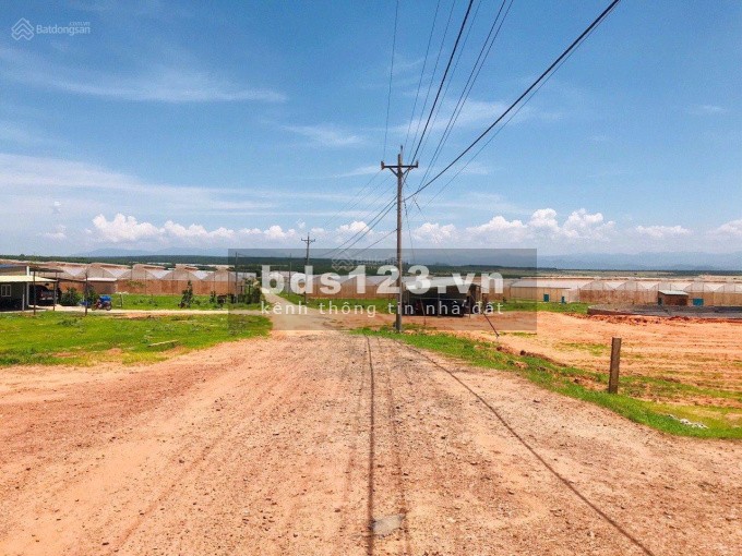 Bán đất sào 1629m2, sổ đỏ, ngay Hồ Rạng Đông, Bình Thuận, 650 triệu