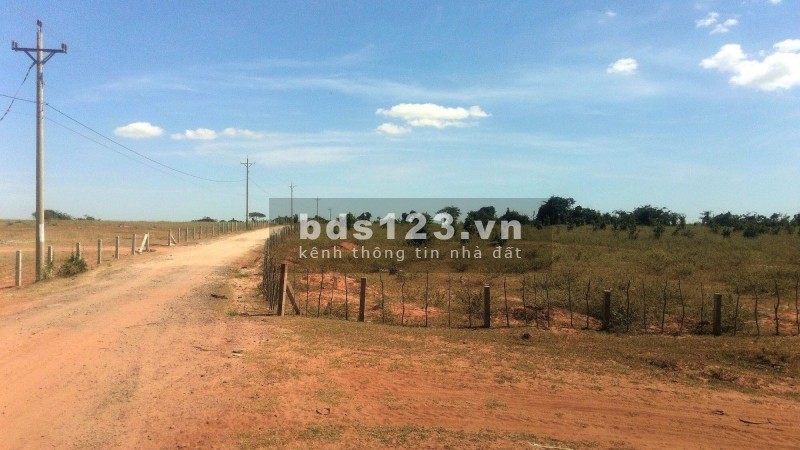 Bán đất sào 1629m2, sổ đỏ, ngay Hồ Rạng Đông, Bình Thuận, 650 triệu