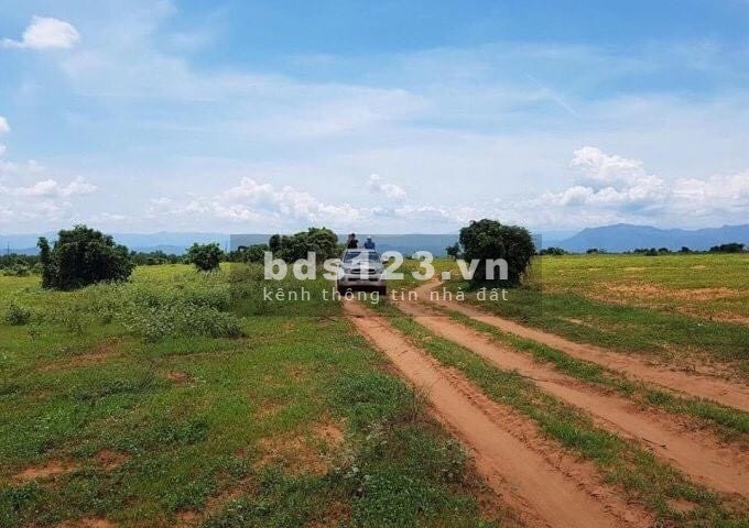 Bán đất sào 1629m2, sổ đỏ, ngay Hồ Rạng Đông, Bình Thuận, 650 triệu