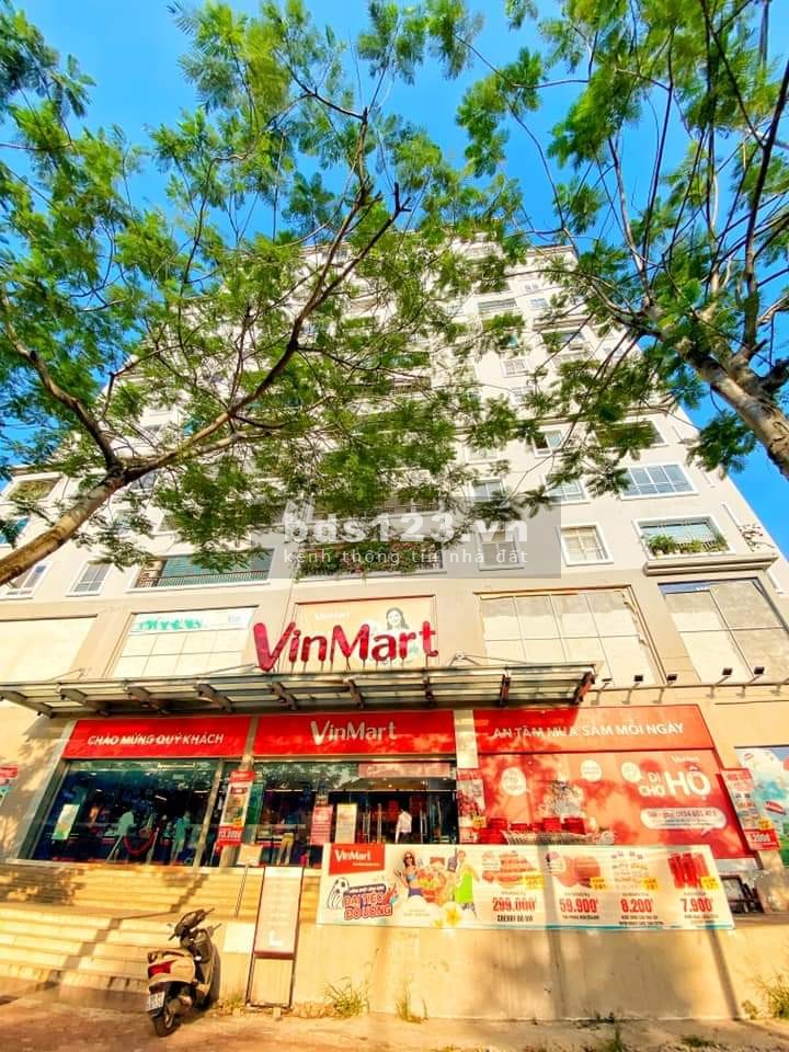 Bán căn hộ chung cư mặt phố Võ Chí Công Tây Hồ, dt 218m, 4pn, 1pk, 1 bếp giá 7.1 tỷ, lh 0904 217831