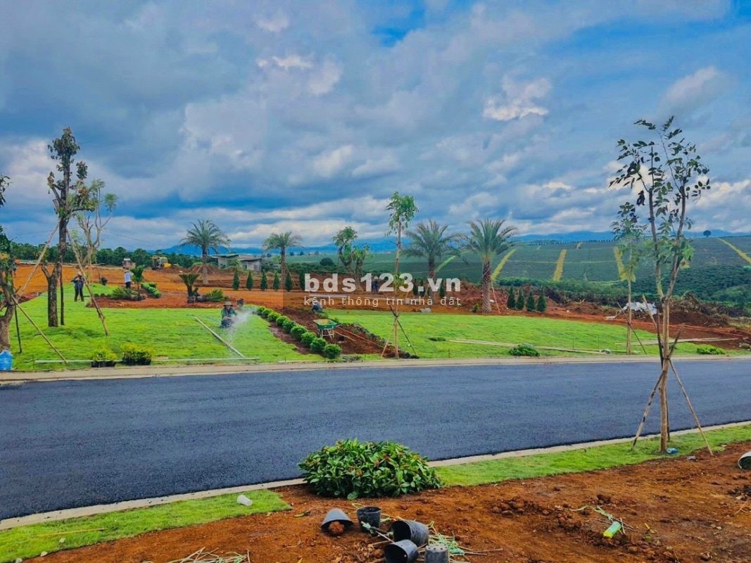 Cần bán lô đất săn mây tại Bảo Lộc, ngân hàng hỗ trợ vay