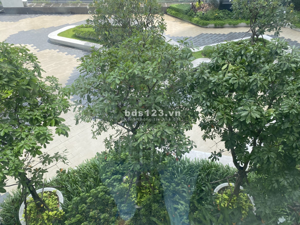 Văn phòng đẹp giá cực tốt chung cư The Sun Avenue Văn Phòng 40m2 giá chỉ 10tr