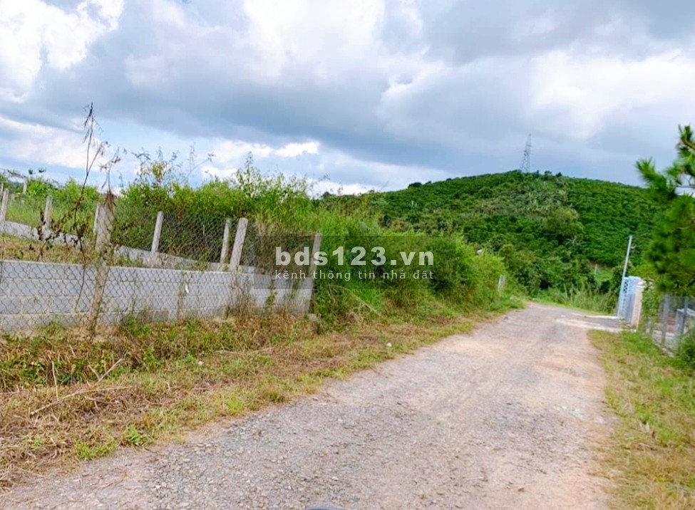 Đất Lộc Châu - Bảo Lộc diện tích 241m2 có thổ 620tr, sang tên ngay