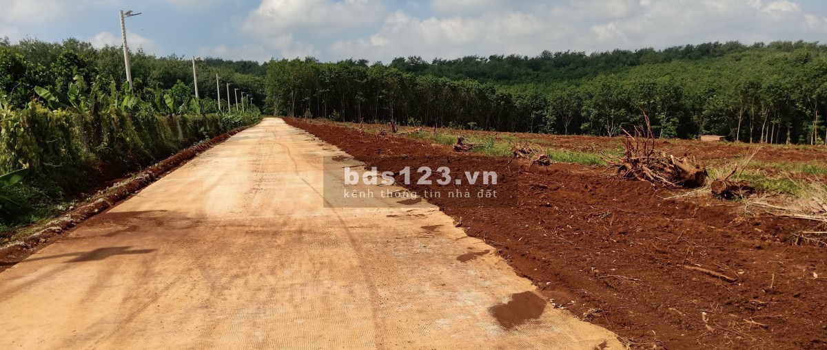 cần bán đất sào chính chủ sỗ sẵn khu vực bình phước