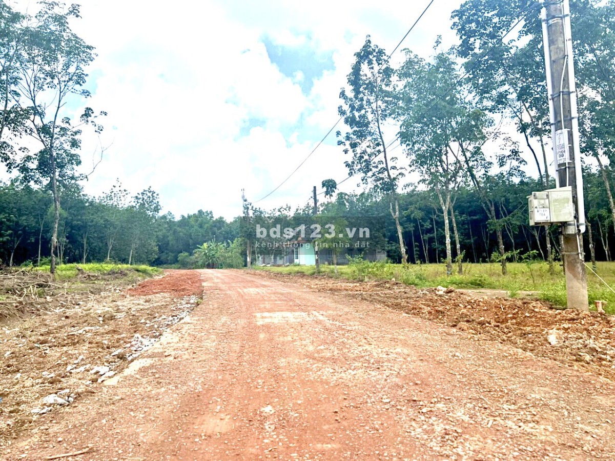 Đất Đồng Phú ngay UBND Tân Lợi, sổ sẵn cách hồ Tân Hoà (KCN Becamex) chỉ 3 phút