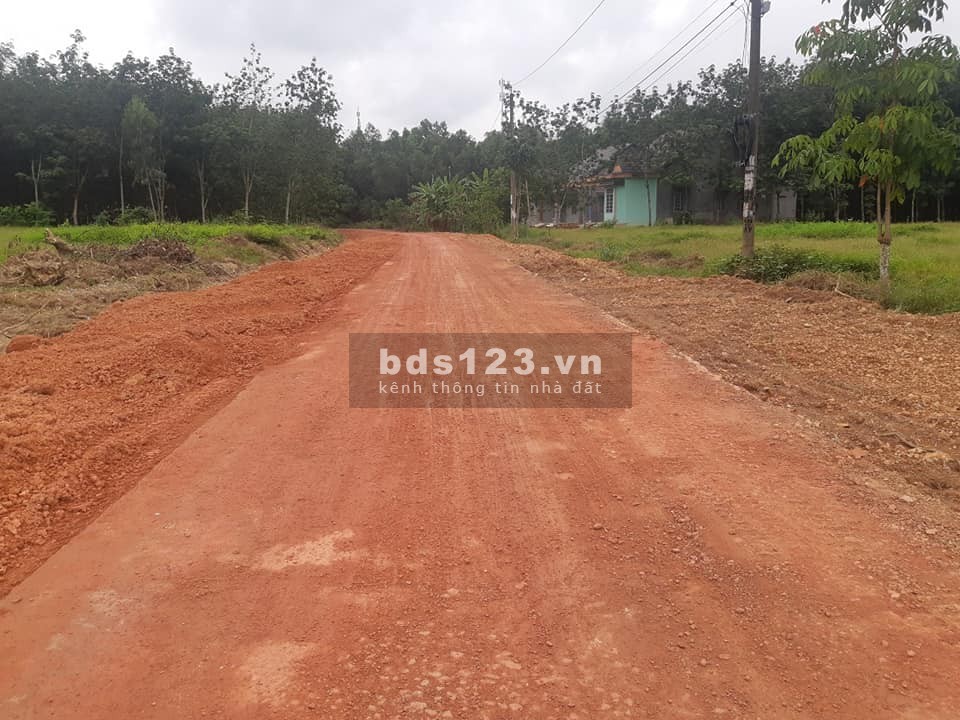 Đất Đồng Phú ngay UBND Tân Lợi, sổ sẵn cách hồ Tân Hoà (KCN Becamex) chỉ 3 phút