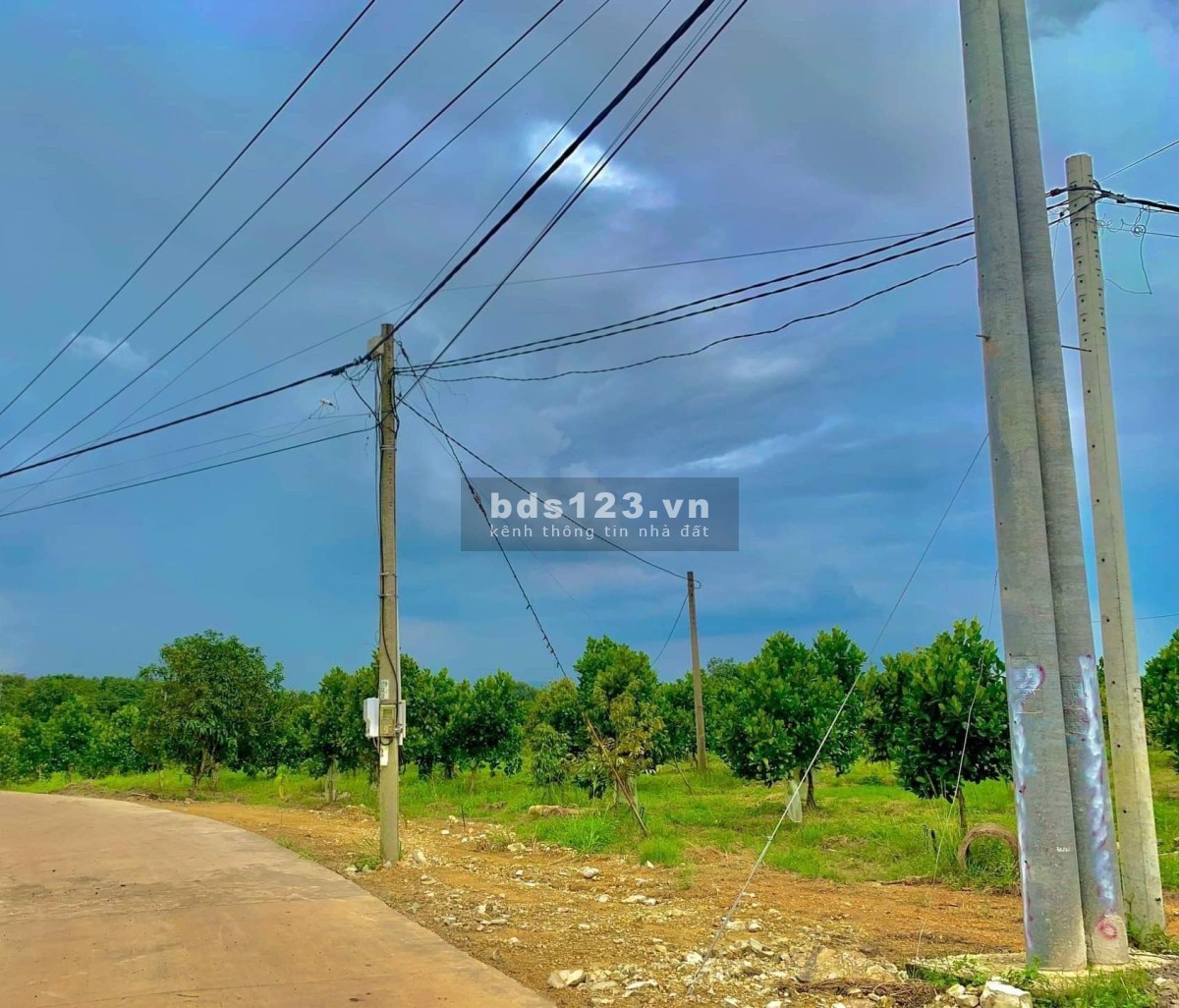 Nhà vườn Hồ Trị An 1000m2 sổ riêng tại Định Quán Lh 0935166466