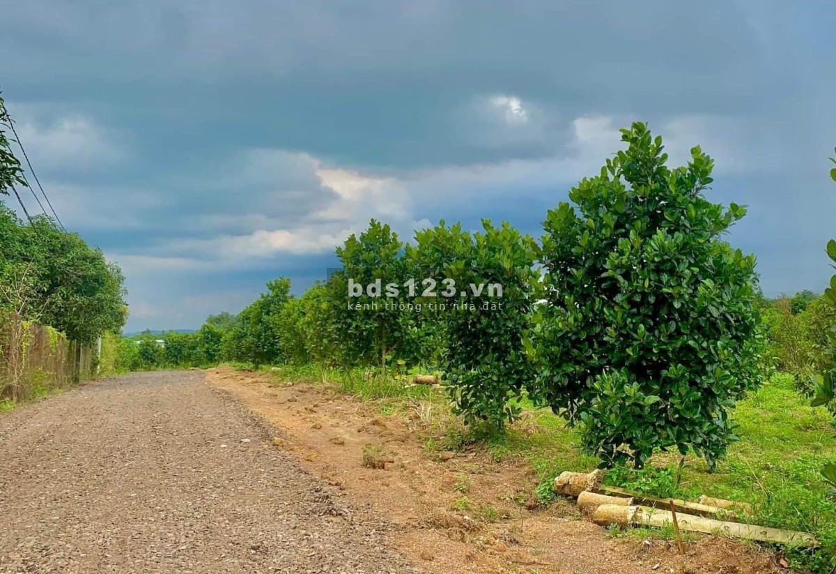 Nhà vườn Hồ Trị An 1000m2 sổ riêng tại Định Quán Lh 0935166466