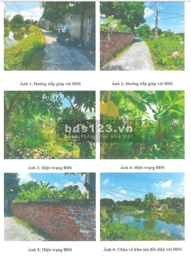 Bán đấu giá bất đông sản tại Tứ Kỳ, Hải Dương pháp lý đầy đủ