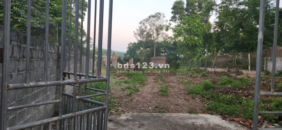Cần bán đất xã Cẩm Lình, Ba Vì, Hà Nội, liên hệ 0329888305 giá tốt