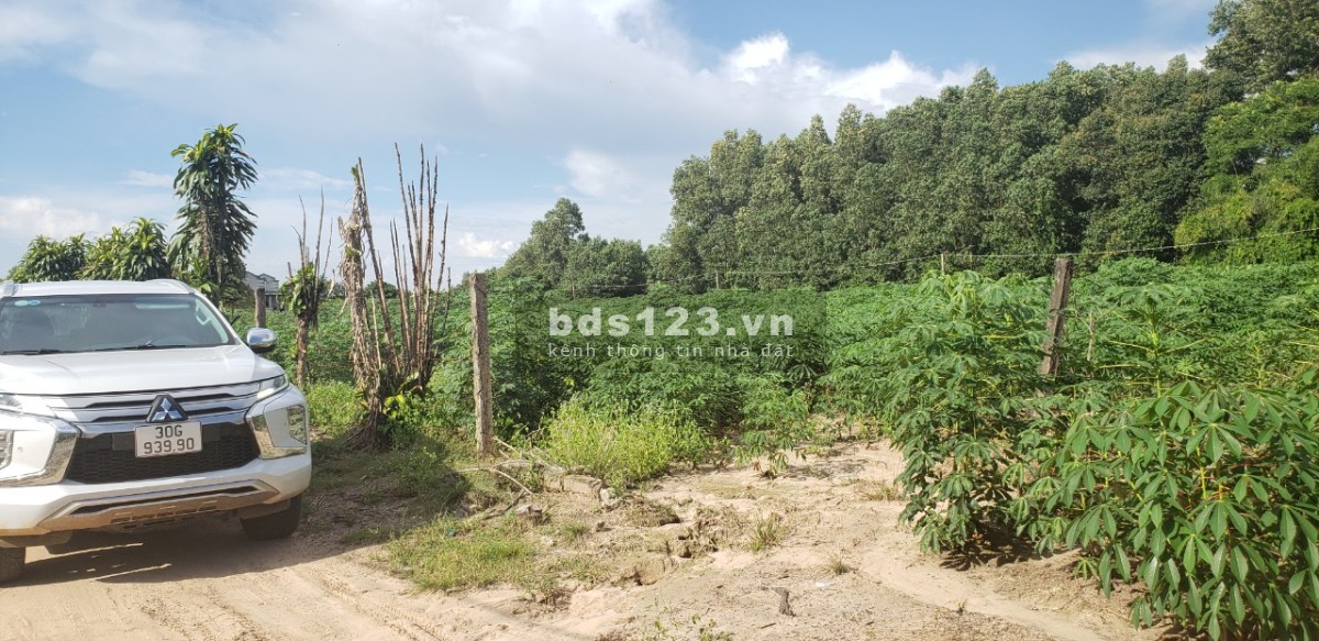 Mặt tiền đường liên xã 32m, giá chỉ 3.2 tỷ cho 1000m2 sổ sẵn chính chủ