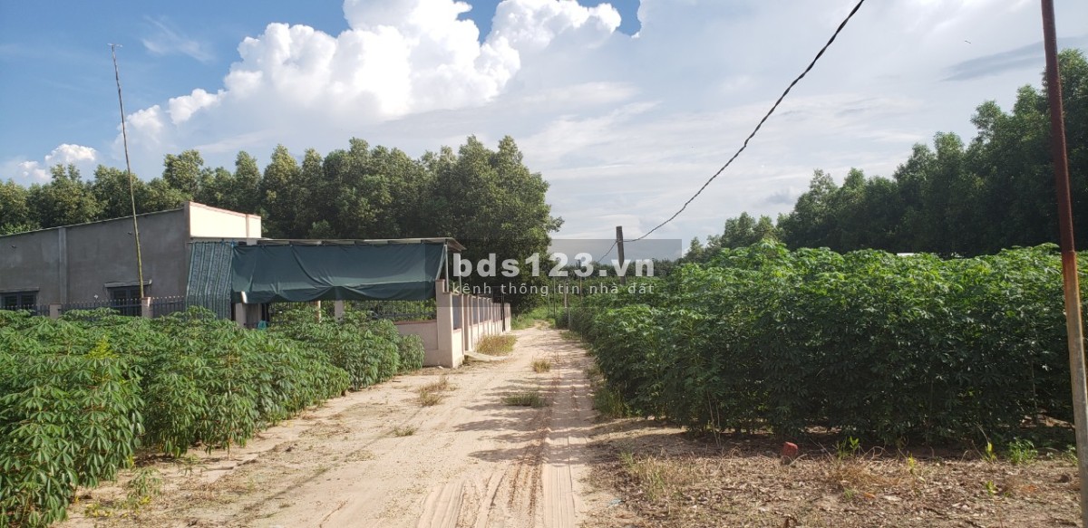 Mặt tiền đường liên xã 32m, giá chỉ 3.2 tỷ cho 1000m2 sổ sẵn chính chủ