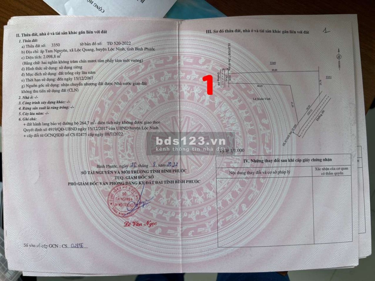 Bán đất sào bên sông bé Bình Phước có sẵn sổ, bàn giao đủ giấy tờ