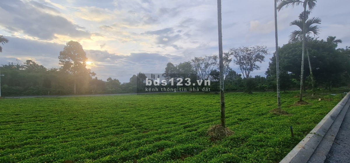 Chỉ 4 triệu/m2 đất thổ cư sổ sẵn tại Lộc An công chứng ngay, chỉ từ 910 triệu/nền