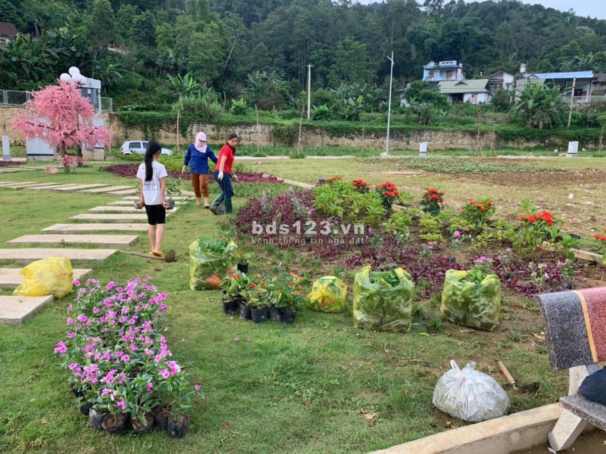 Mua đất ngân hàng hỗ trợ chỉ bỏ ra từ 200 triệu-250 triệu đã sở hữu lô đất