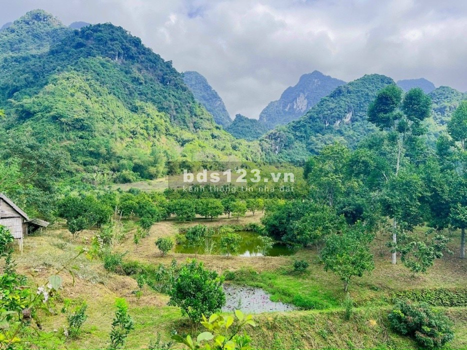 Bán diện tích 9400m2 tại Kim Bôi, Hoà Bình liên hệ 0326370278