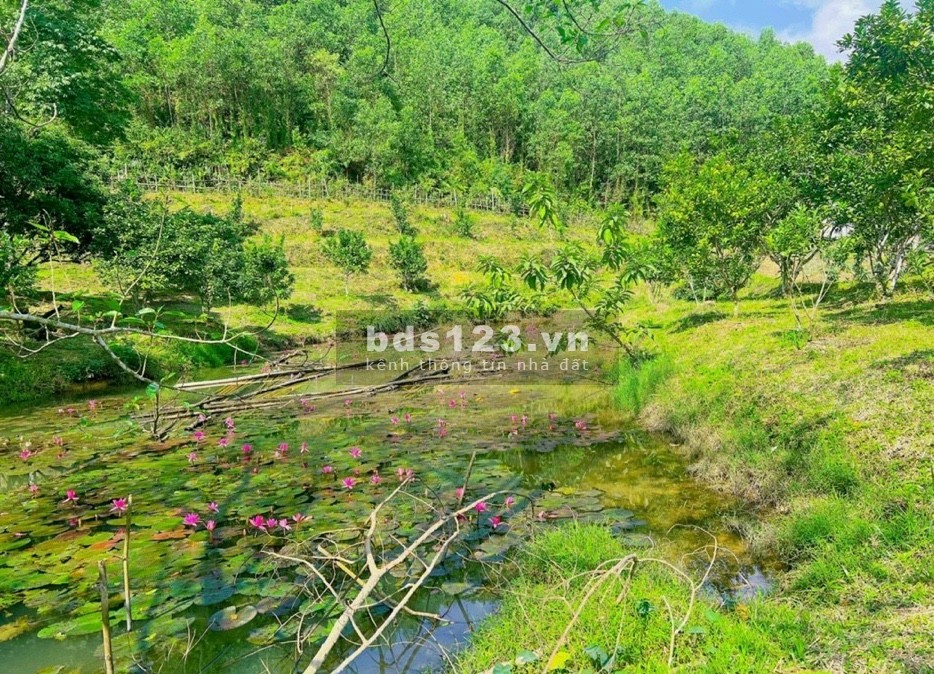 Bán diện tích 9400m2 tại Kim Bôi, Hoà Bình liên hệ 0326370278