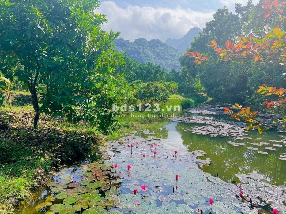 Bán diện tích 9400m2 tại Kim Bôi, Hoà Bình liên hệ 0326370278