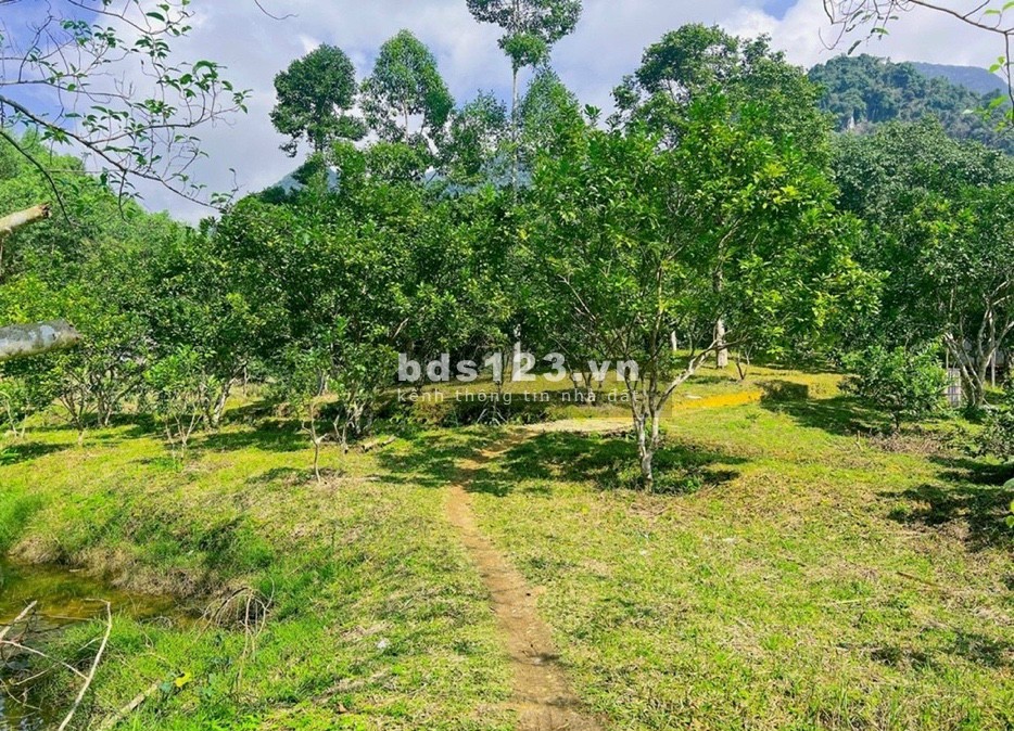 Bán diện tích 9400m2 tại Kim Bôi, Hoà Bình liên hệ 0326370278