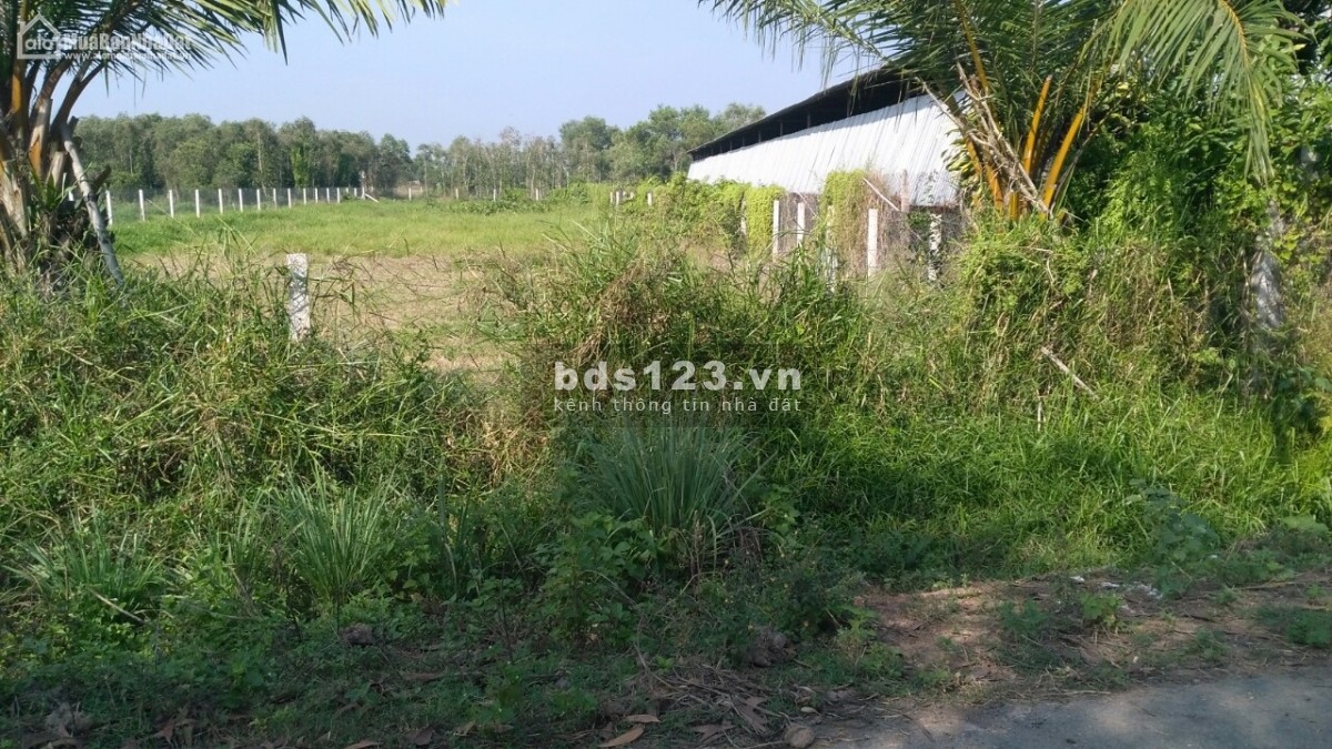 Chính chủ cần bán gấp lô đất sổ sẵn mua công chứng liền lh 0342382319
