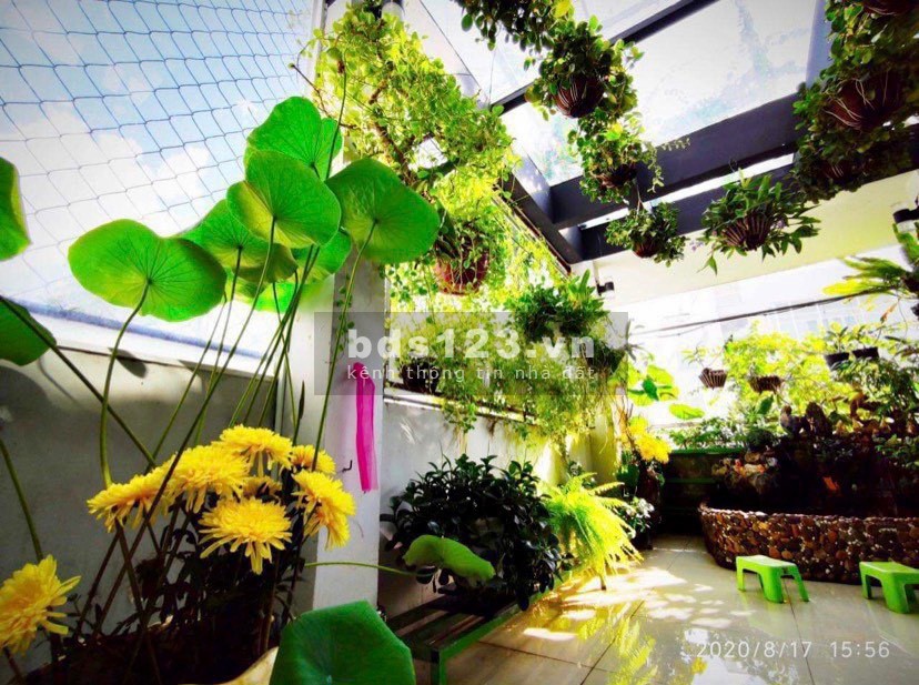 Bán gấp mặt tiền Nguyễn Văn Tráng, kinh doanh, dt 33m2, 5 tầng giá 17 tỷ